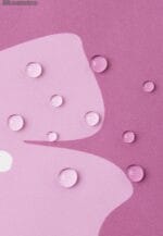 REIMA žieminė striukė Muurame AW24